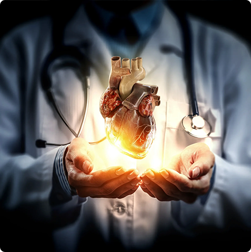 Cardiology