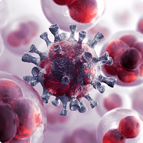 Oncology