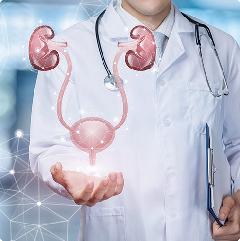 Urology & Endourology