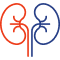 Nephrology & Dialysis