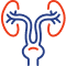 Urology & Endourology
